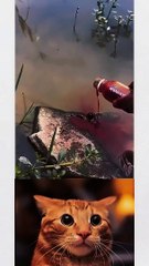 Fish Trap & Men Trap | Light Fun Entertainment 🎮