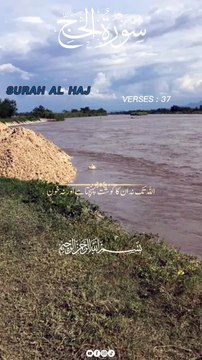 surah haj urdutarjuma ayat 37#alquran#islamic video#islam