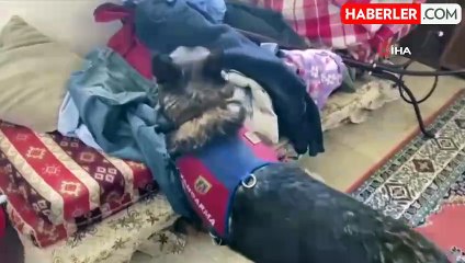 Malatya'da 3 kilo 700 gram kubar esrar ele geçirildi