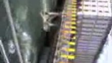 Video0002
