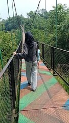 selayang pandang perlepas rindu