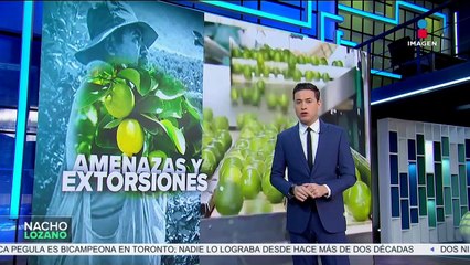 Inseguridad frena a productores de limón