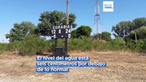 El río Danubio, sediento de caudal en medio de las altas temperaturas y la grave sequía en Rumanía