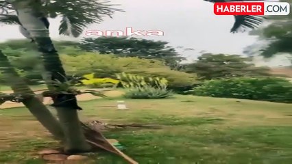 Yunanistan'da şiddetli orman yangını devam ediyor