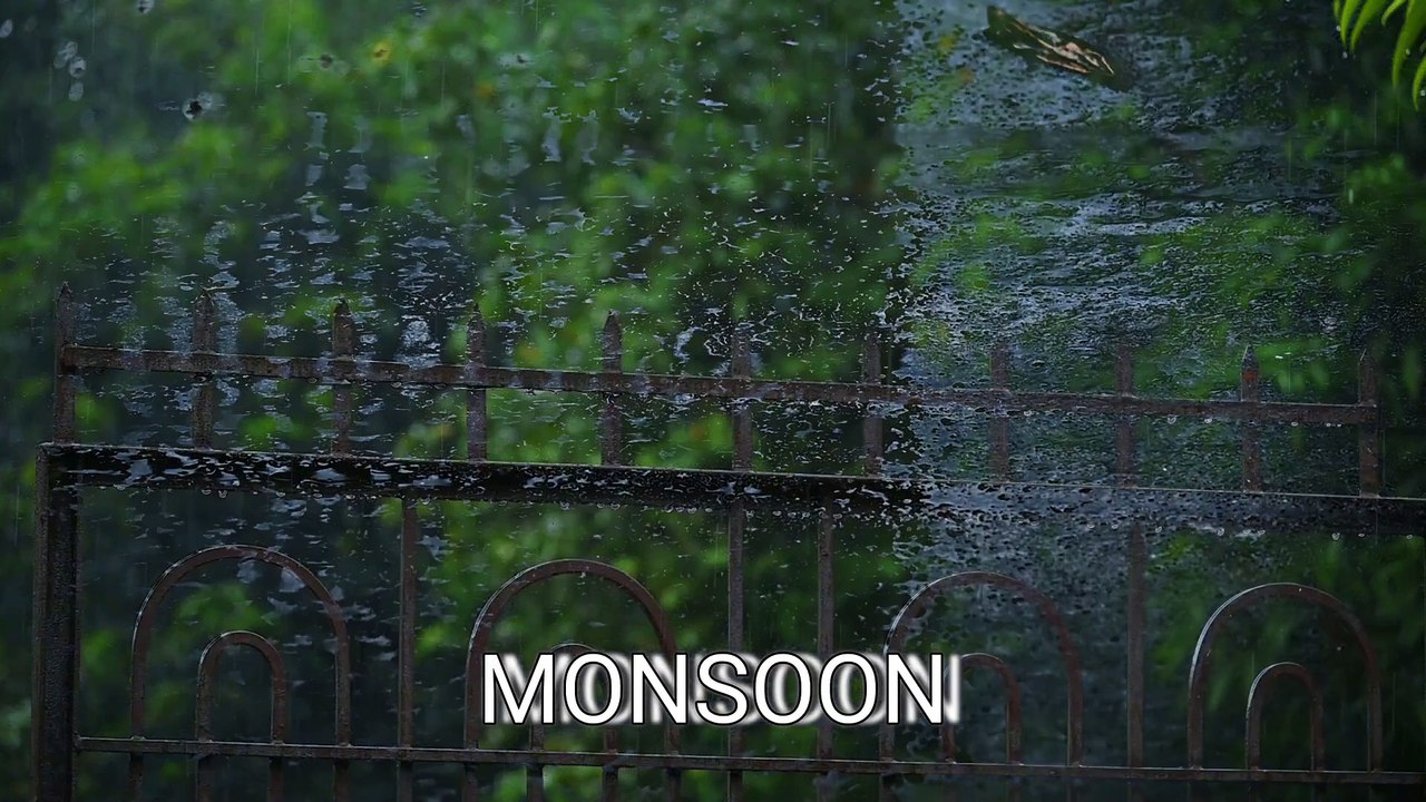 rainy season _4k video_In to the nature_cinematic video_Full-HD