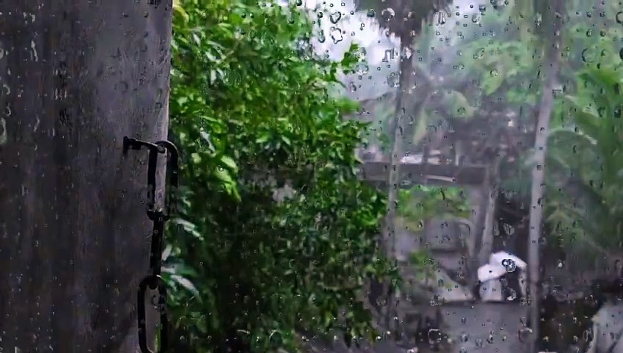 afternoon rainy mood _HIGH