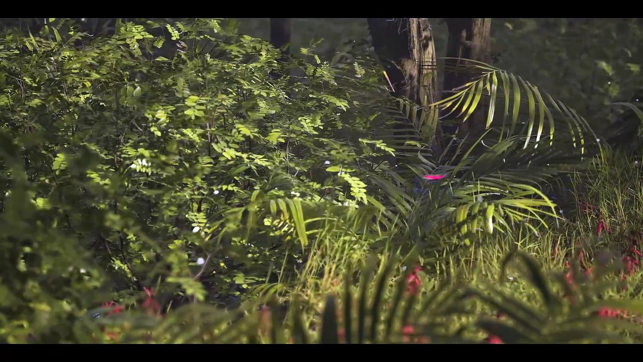 The Forest Bed (cinematic Unreal engine 5.1 lumen)_Full-HD