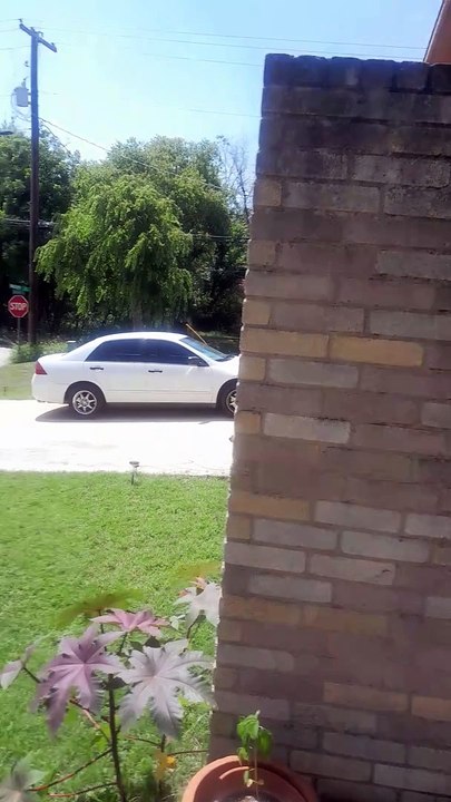 July 2024 New Braunfels Flood Siren Test Ambience (15 MINUTES EARLY!!)