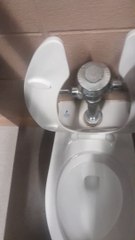 Crane Plumbing Pladicus at The Synthia Woods Mitchell Pavillion in The Woodlands, TX