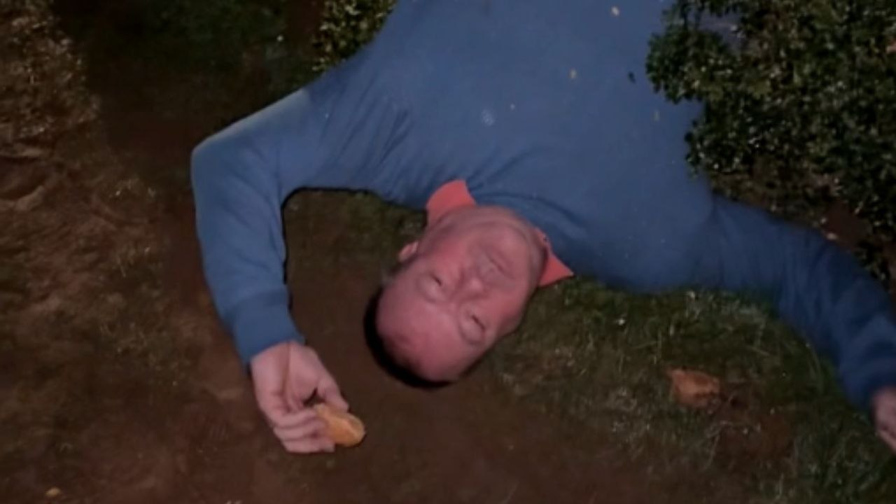 Fun party night ends with a friend finding rest in bushes