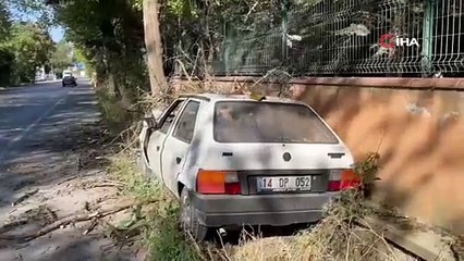 Otomobilin çarptığı ağaç üzerine devrildi! Yangına neden oldu