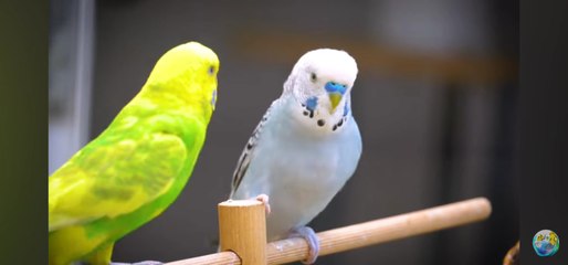 it finally worked, I will have a baby