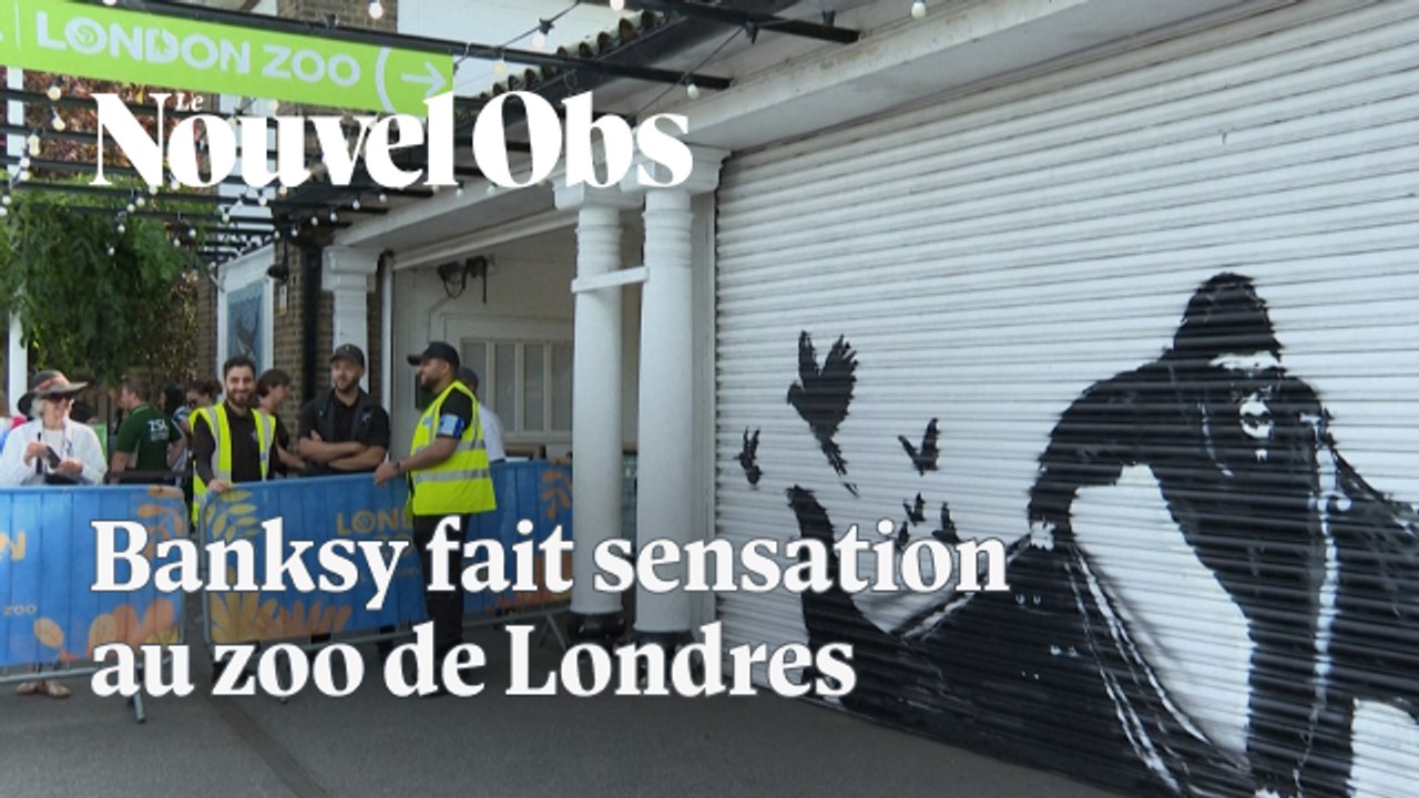 Banksy complète en beauté sa série de graffitis animalistes à Londres