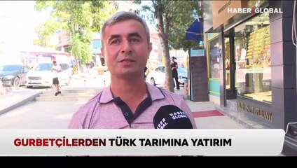 Tarımda tersine göç başladı: Gurbetçiler Türkiye'ye tarım yatırımı yapıyor