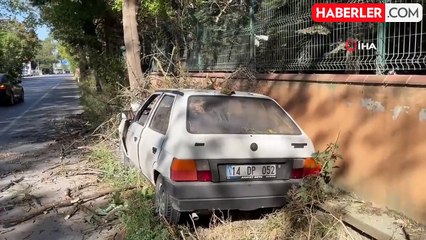 Otomobilin çarptığı ağaç üzerine devrildi: 1 yaralı