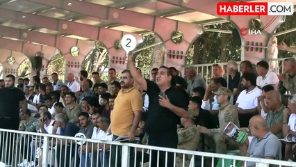 TİGEM tay satışından 20 milyon 845 bin liralık gelir elde etti