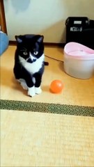 Cant play without messing 