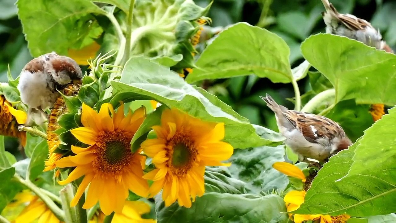 Namaz Makroo kin kamon se hute h