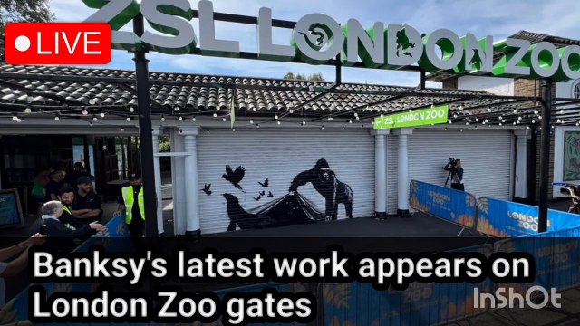 Banksy's latest work appears on London Zoo gates |BBC London | BBC news live