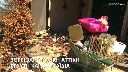 Πυρκαγιά στην Αττική: Kάτοικοι περιγράφουν στο euronews τις δραματικές στιγμές που έζησαν