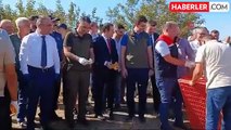 Tekirdağ'da 300 adet çil keklik doğaya salındı