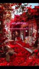 Surah Ankaboot verse-5