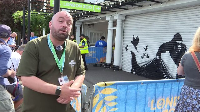 Banksy conclui série de pinturas com animais em Londres