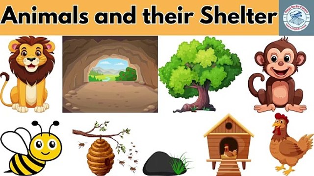 Animals and their shelter I Animal shelter for kids I Animals and their Home_HD