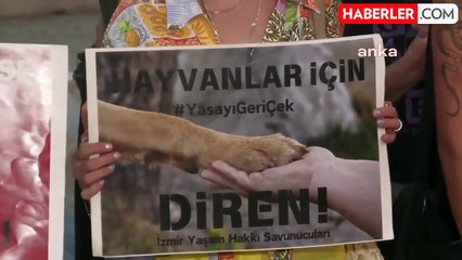 Manisa'da Kedi Katliamına Tepki