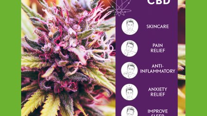 Enradia CBD in High-Performance CBD Products
