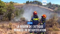 Grèce : la région de l'Attique menacée de désertification à cause des feux de forêt