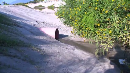 Confirman primer caso de dengue en la Región Centro de Coahuila