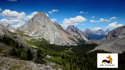 The Ultimate Battle between Two Male Hippos