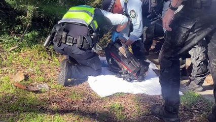 Police Arrest Man in Wanniassa Incident Amid Unexpected Involvement of Innocent Couple 🚓