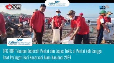 DPC PDIP Tabanan Bebersih Pantai dan Lepas Tukik di Pantai Yeh Gangga Saat Peringati Hari Koservasi Alam Nasional 2024