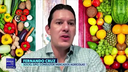 Los mercados agropecuarios son muy volátiles: Fernando Cruz