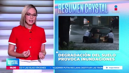 ¿Dónde podemos denunciar si alguien no recoge las heces de su perro?