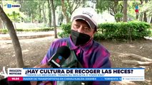 ¿Las personas recogen las heces de sus perritos?