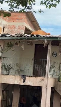 why is it there? If anyone knows, please comment, guys