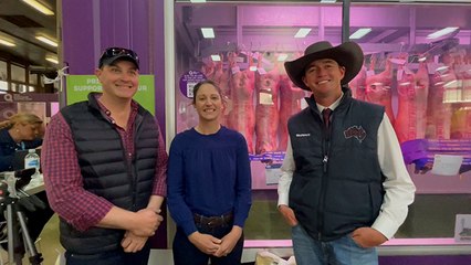 Ekka prime lambs competition | Queensland Country Life