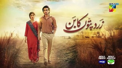 Zard Patton Ka Bunn Episode 14 hum tv drama