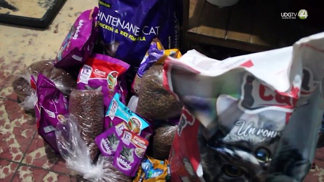 Para rescatar a perros y gatos callejeros, realizarán el 4to festival con causa “Croquetón”