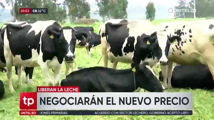 Según la CAO, el Gobierno se abrió a la posibilidad de liberar la banda de precios para la leche
