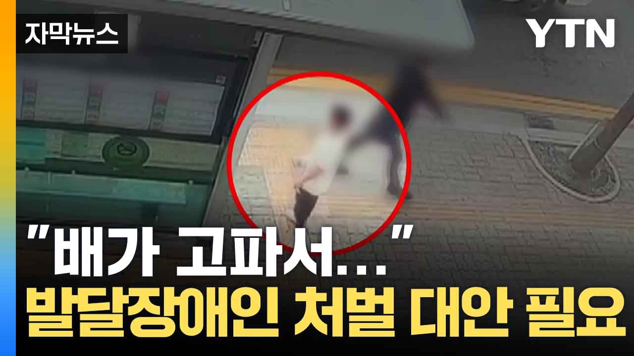 [자막뉴스] 반복되는 발달장애인 범죄...재범 막기 위한 '다른 기준' 필요 / YTN