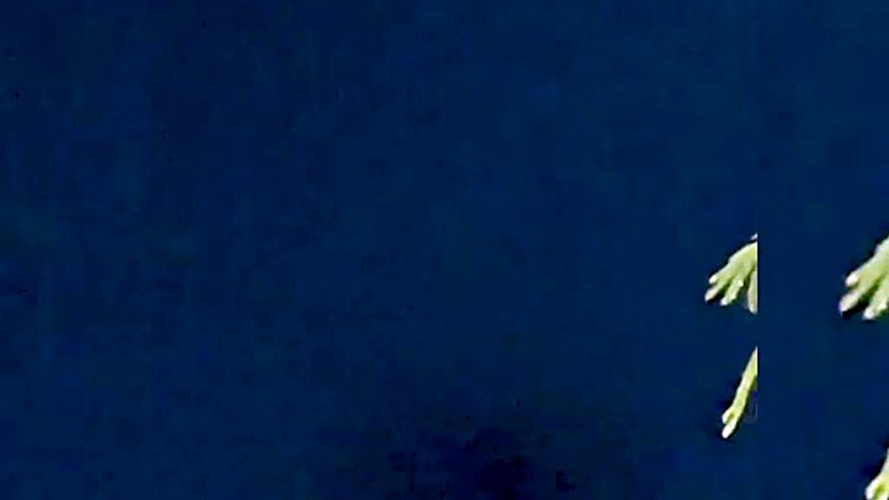 Luzes misteriosas voltam a iluminar o céu de Cascavel: fenômeno natural ou visita extraterrestre?