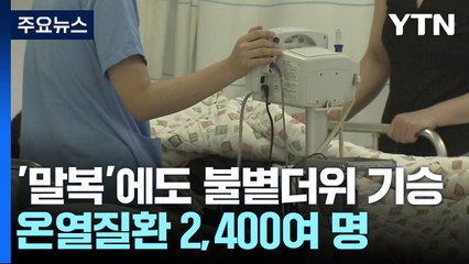 [날씨] '말복'에도 불볕더위 기승...온열질환 2,400여 명 / YTN
