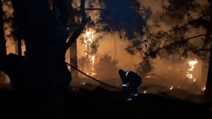 Download Video: İzmir'de ikinci orman yangını; Karşıyaka ilçesinde de çıktı