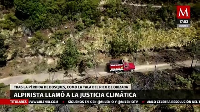 Fátima del Ángel llama a garantizar la justicia climática ante la tala de árboles | Milenio Hábitat
