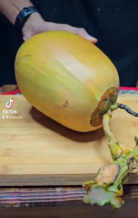 Namaz importance in islam