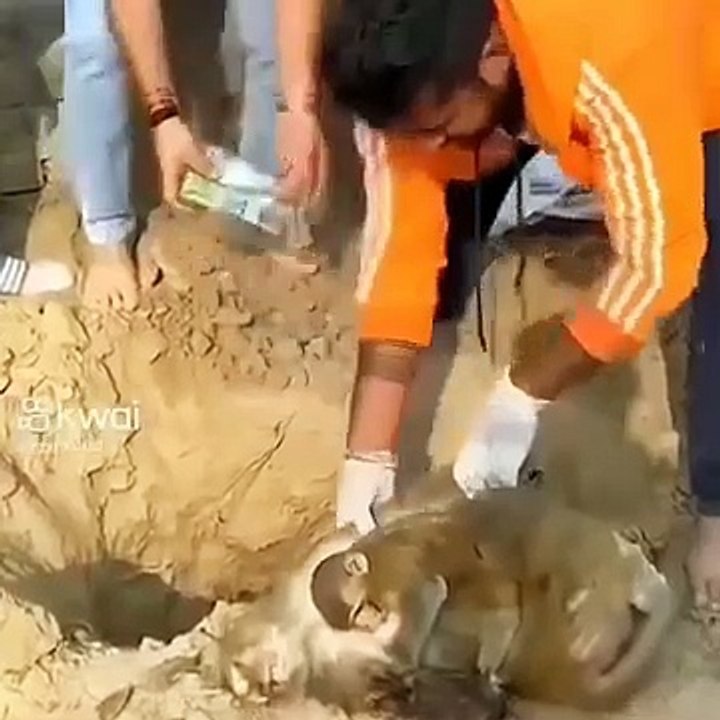 他安慰她的方式太可爱了
